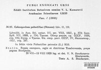 Image Associated With the Occurence